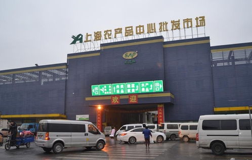 上海農(nóng)產(chǎn)品中心批發(fā)市場 從農(nóng)貿(mào)樞紐到鞋帽批發(fā)的多元探索
